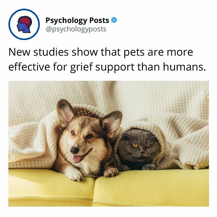 Mental-Health-Psychology-Facts