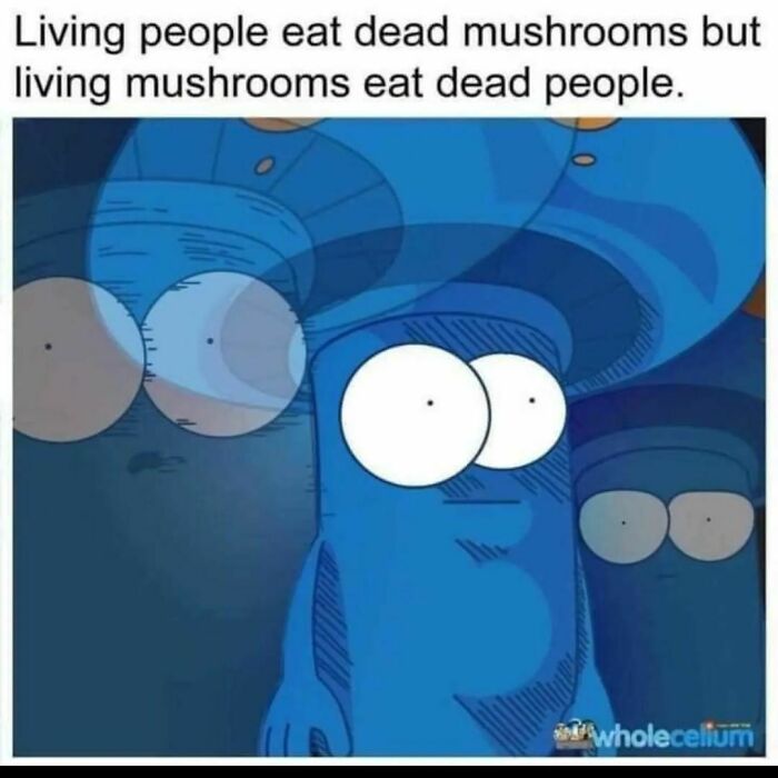 Funny-Bad-Science-Memes-Jokes