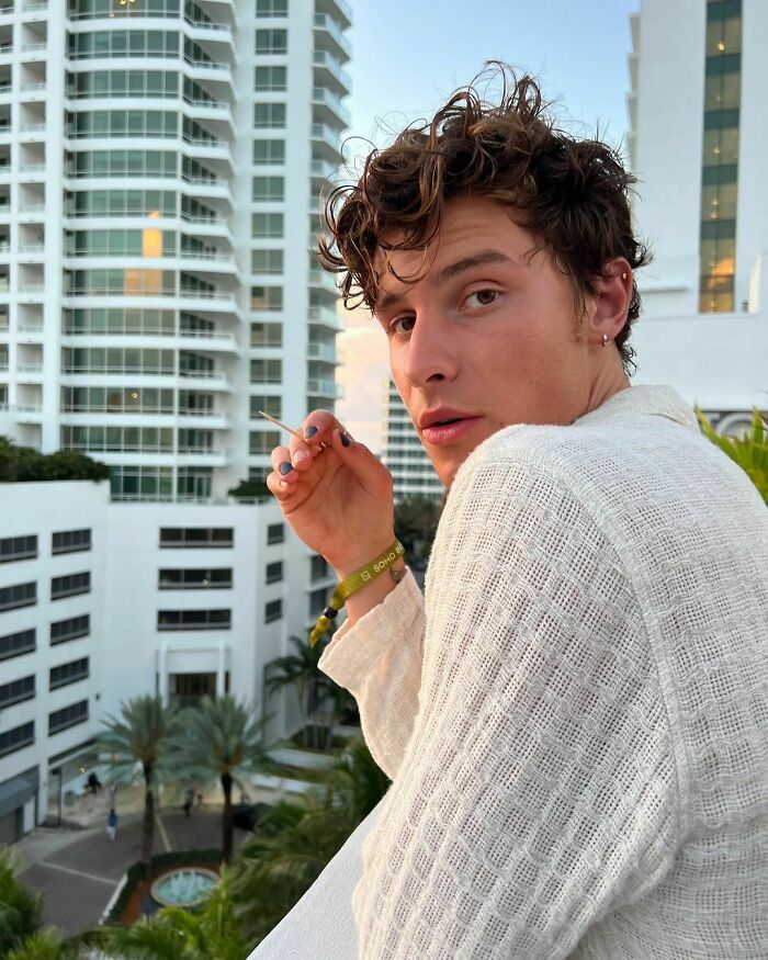 Shawn Mendes, 71 Million