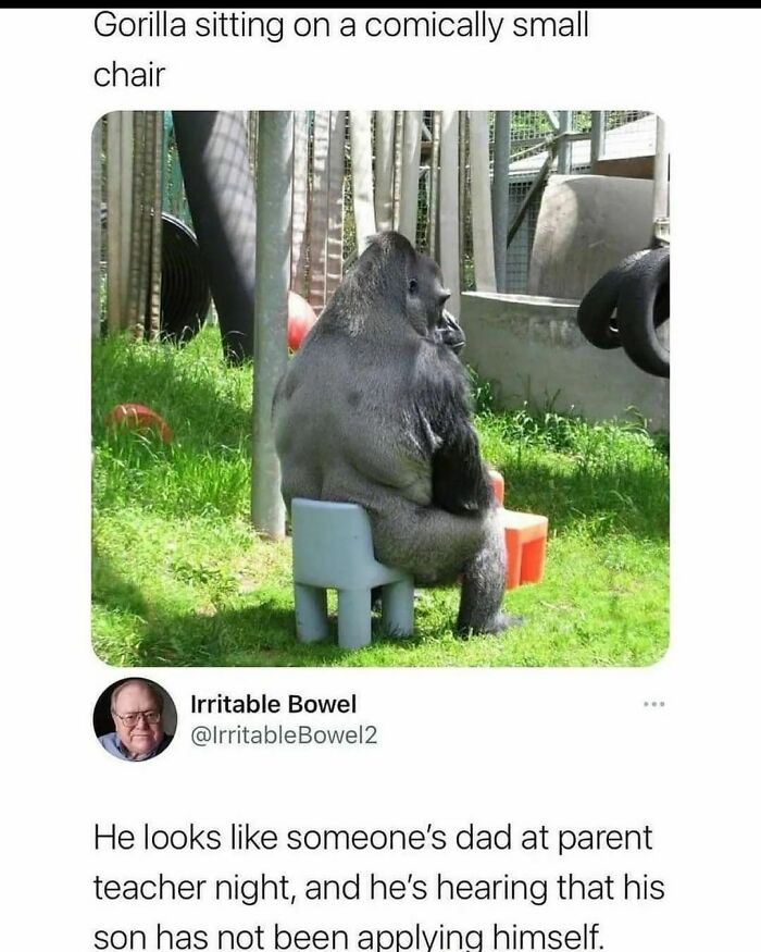 Funny-Bad-Science-Memes-Jokes