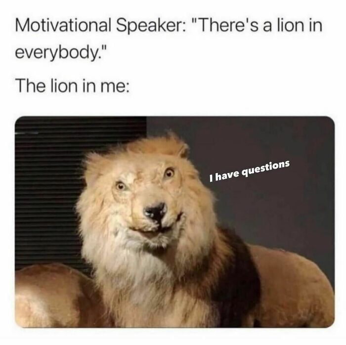 Funny-Antisocial-Memes-Jokes