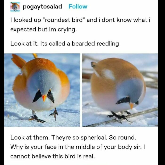 Funny-Bad-Science-Memes-Jokes