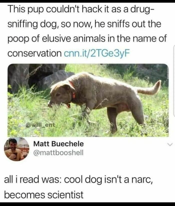 Funny-Bad-Science-Memes-Jokes