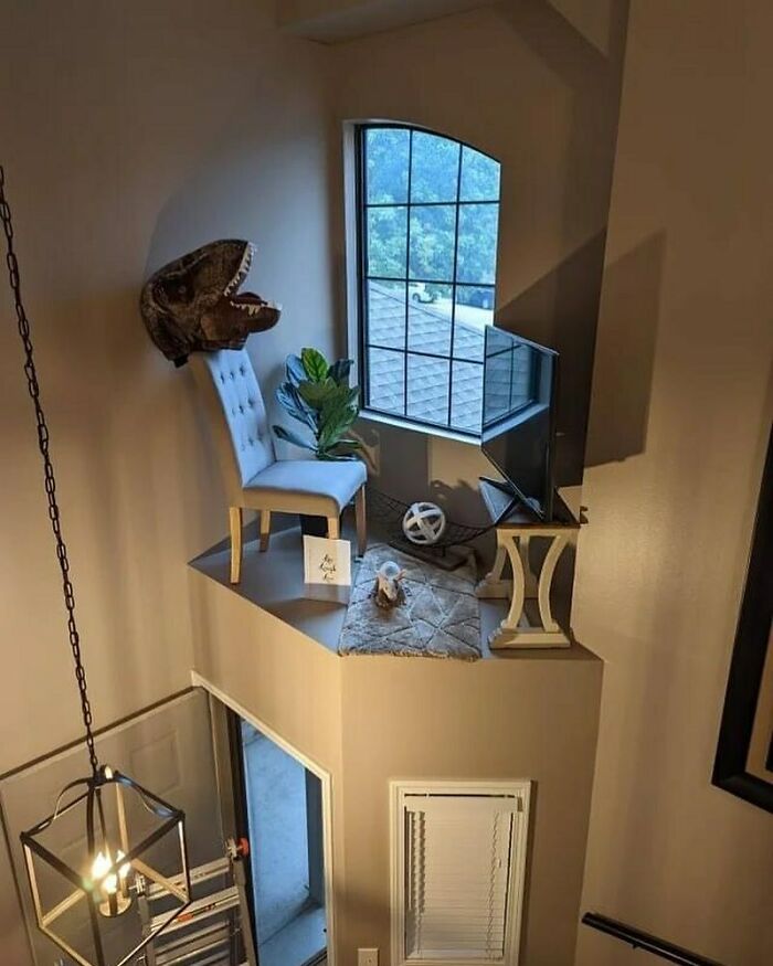 The Dinosaur Head Hahah