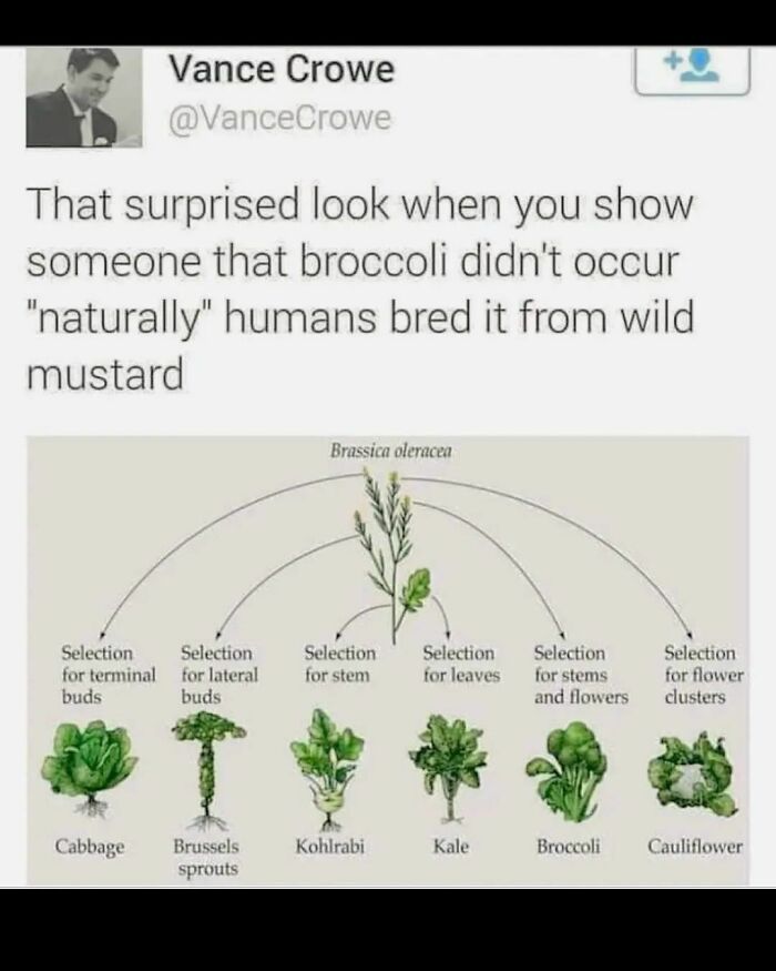 Funny-Bad-Science-Memes-Jokes