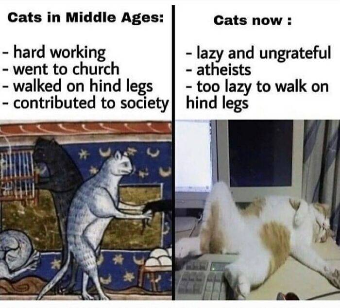Medieval art cat standing, modern cat lounging. Art history meme contrasts hardworking vs lazy cats.