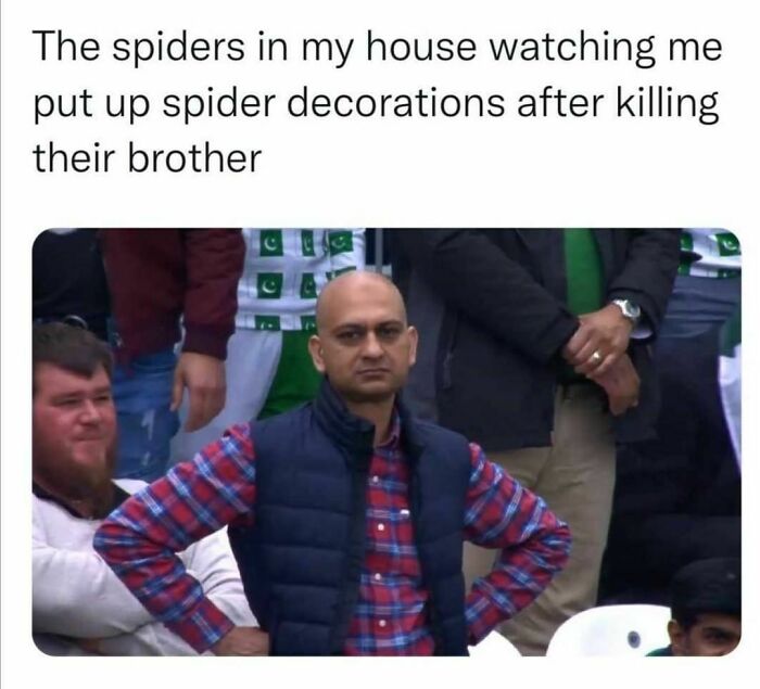 Meanwhile-In-Ireland-Funny