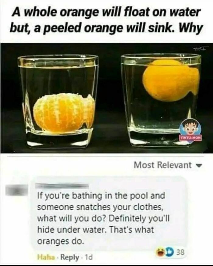 Funny-Bad-Science-Memes-Jokes