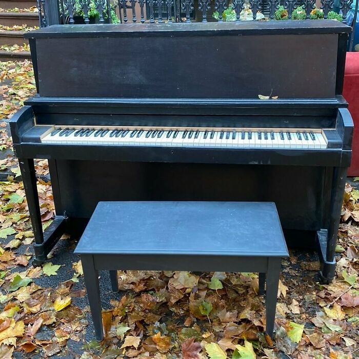 Let’s Get A Full Fledged Performance! We’ll Share It If We Get It! Tag Someone Amazing!