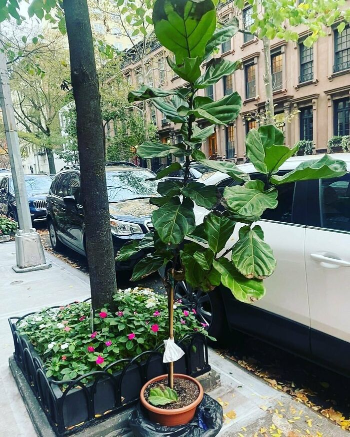  Todos juntos en 3…2…1… ¡Increíble! 