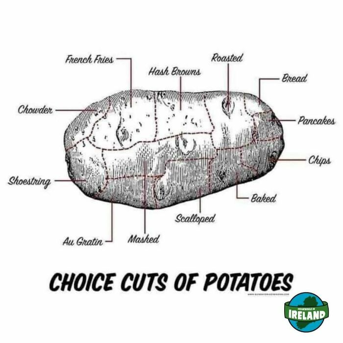 Diagram of a potato showing choice cuts like mashed, scalloped, roasted, and chips, highlighting unique aspects of Ireland.