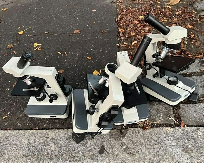 Getting Flashbacks To High School Biology Class