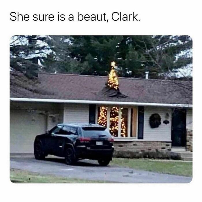 Funny-Dad-Stereotype-Memes-Raddad