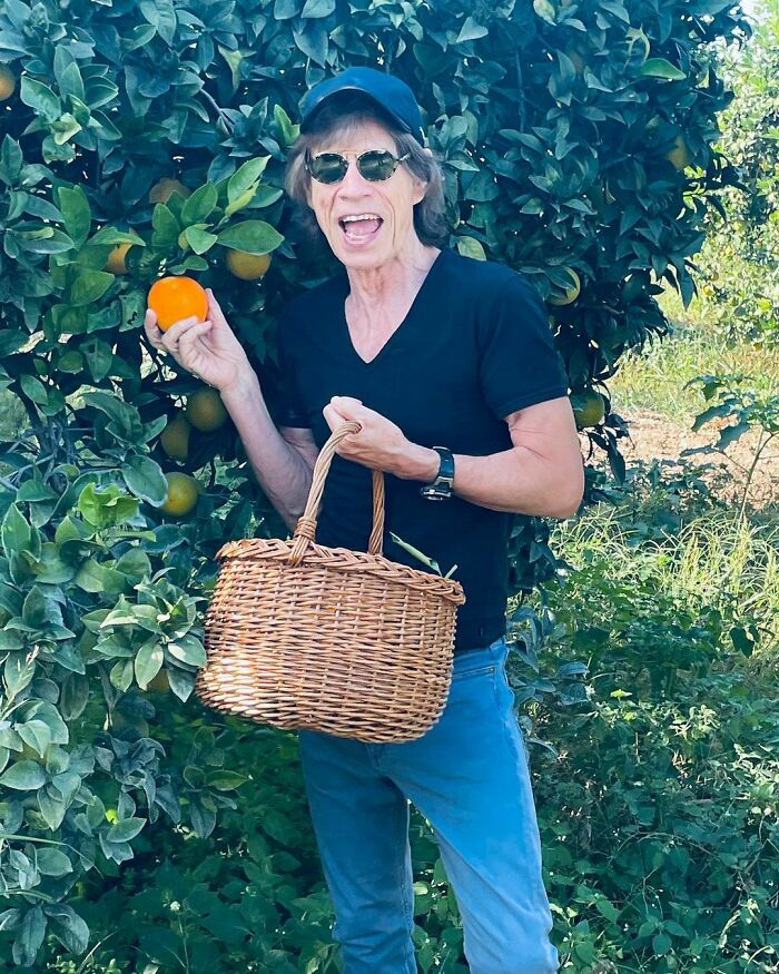 Male celebrity outdoors picking fruit from a tree, holding a wicker basket, showcasing smart and intelligent celebrity lifestyle.