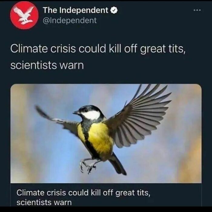 Funny-Bad-Science-Memes-Jokes