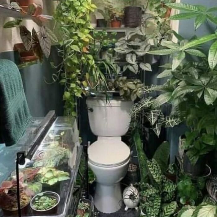 I Got Nothing Y’all. It’s A Mess