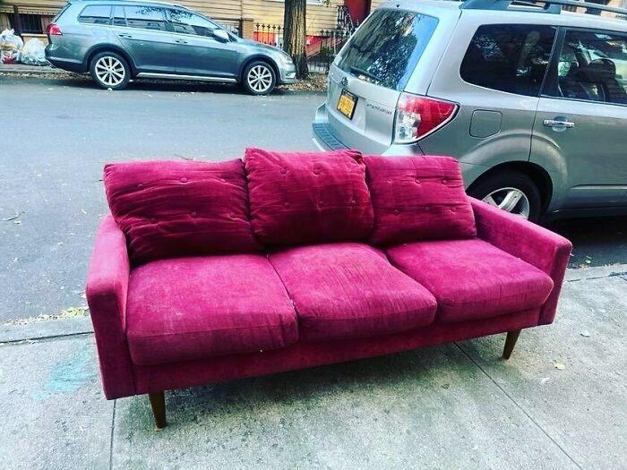 ¡Es belleza y gracia!