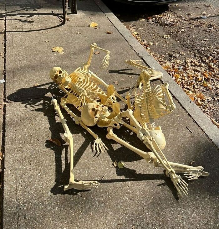 Estos tres deberían buscarse una habitación