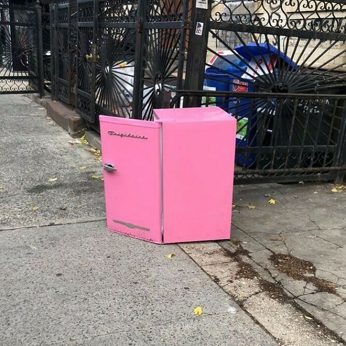 Pop Of Color On This Gloomy Day…