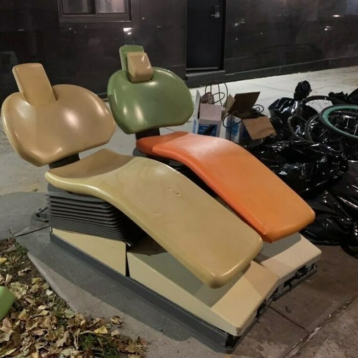 What Everyone Needs In Their Living Room