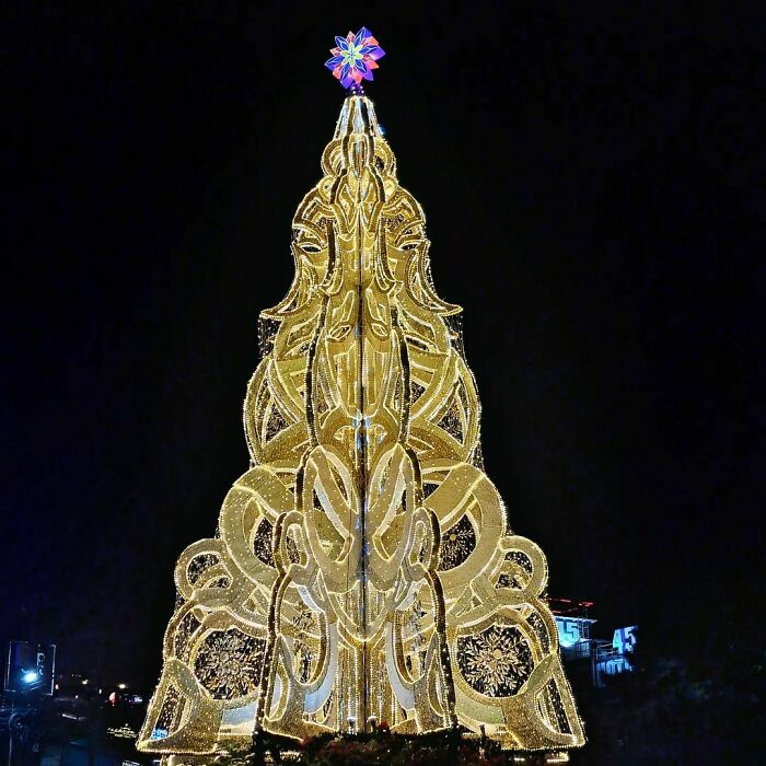 I'm So Happy Seeing Christmas Trees Again. Baguio City, Philippines