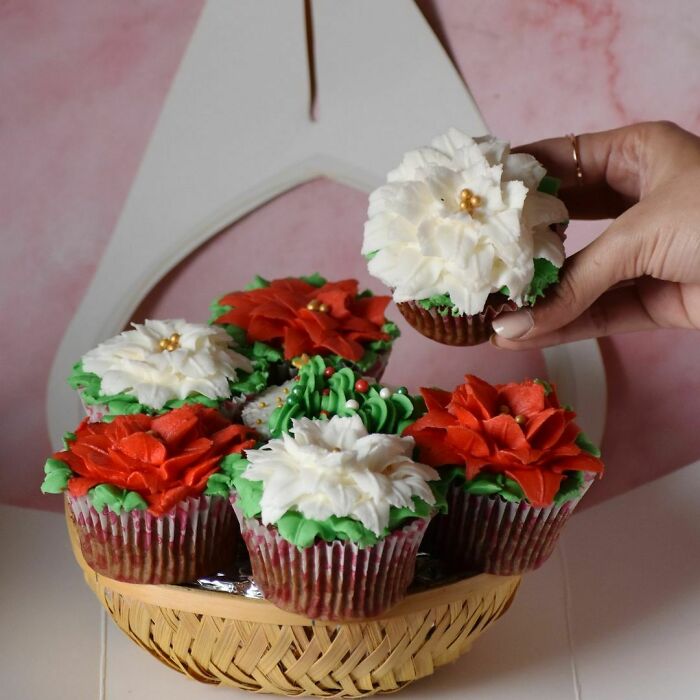 The Christmas Poinsettia