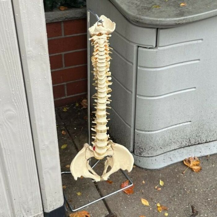 Ou Know What Time It Is…caption Contest!!