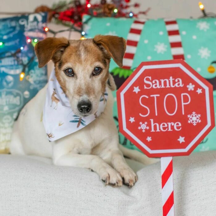 And Give Me My Treats