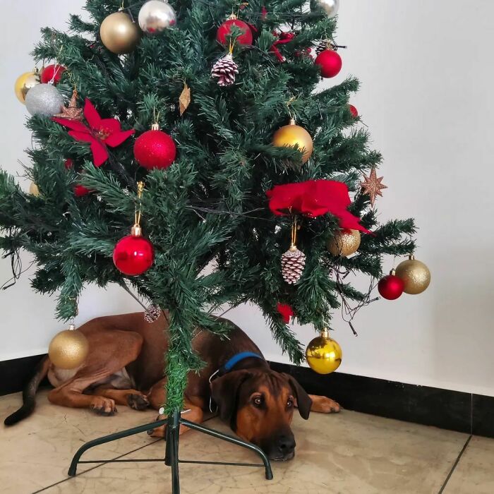 I'm The Gift That Keeps On Giving