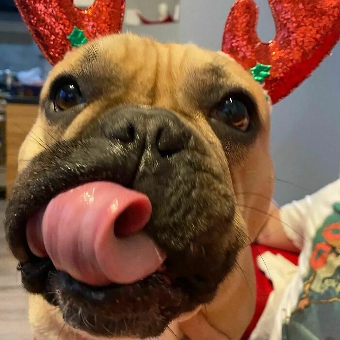 When You Smell All Of The Christmas Food