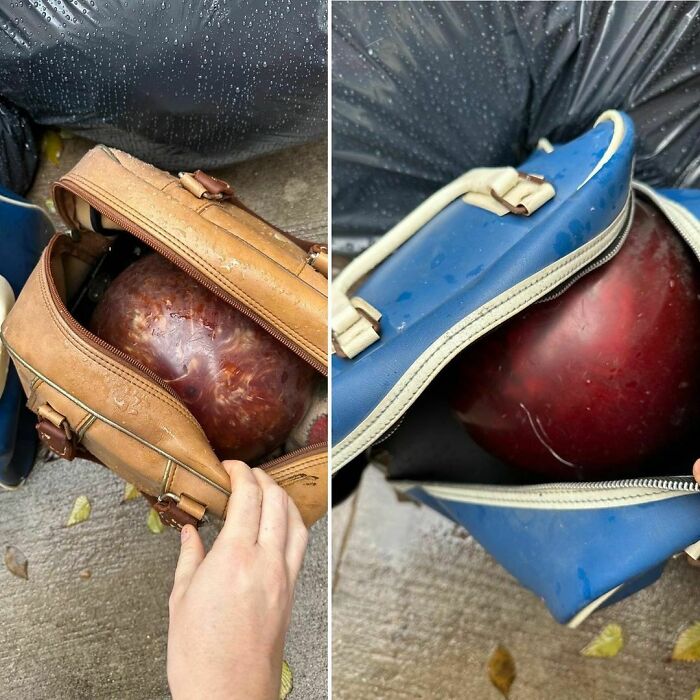 In The Tradition Of Homer Simpson Buying Marge The Gift Of A Bowling Ball… We Have The Perfect Gift Stoop!