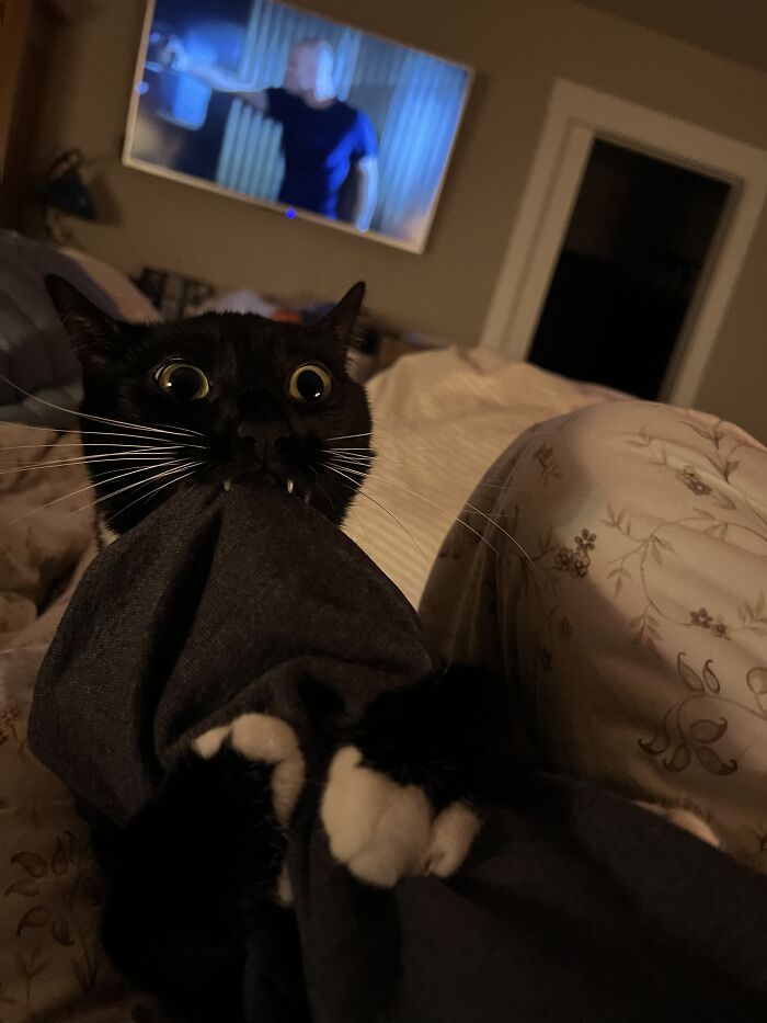 I Want To Suck Your Blood!