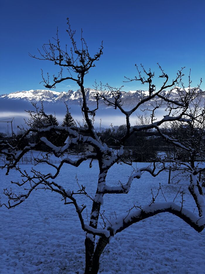 First Day Of Winter In 2022 In Vorarlberg, Austria