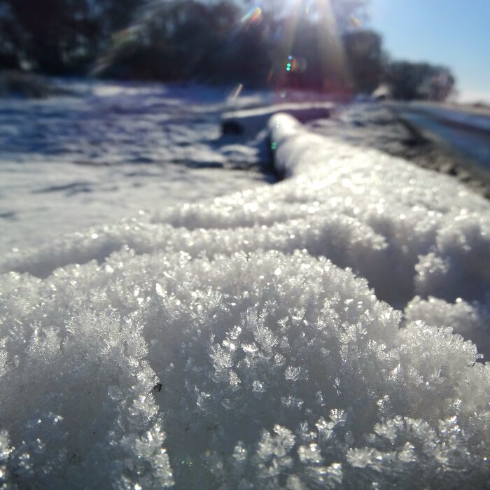 Snow On Log Close-Up