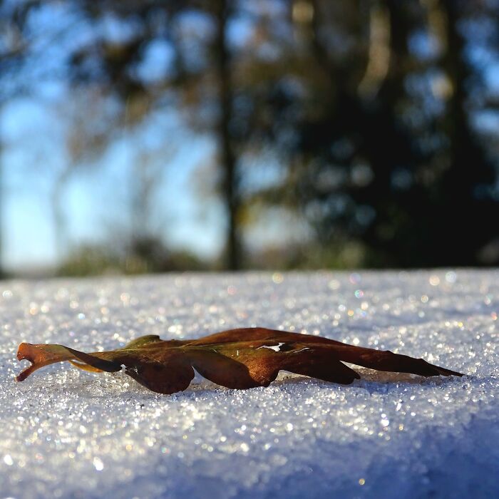 Sparkly Snow On Car Roof