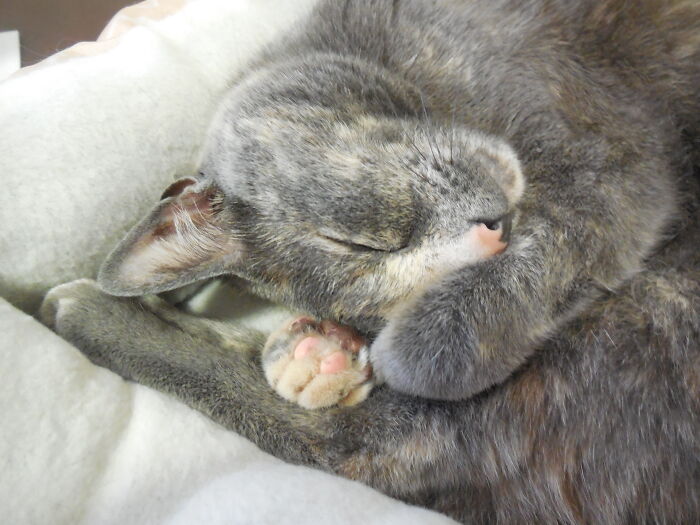 My Sleepy Baby Jessie