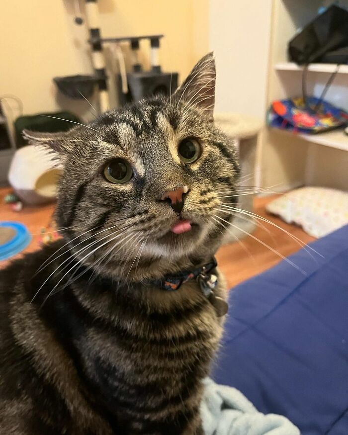 After Going Viral On Twitter, Fishtopher Has Recently Been Adopted And Is Off To Live A Happy Life