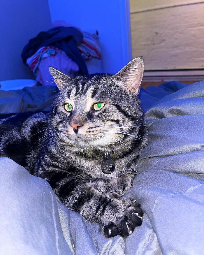 After Going Viral On Twitter, Fishtopher Has Recently Been Adopted And Is Off To Live A Happy Life