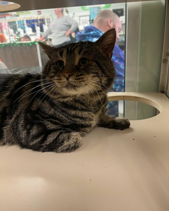 After Going Viral On Twitter, Fishtopher Has Recently Been Adopted And Is Off To Live A Happy Life