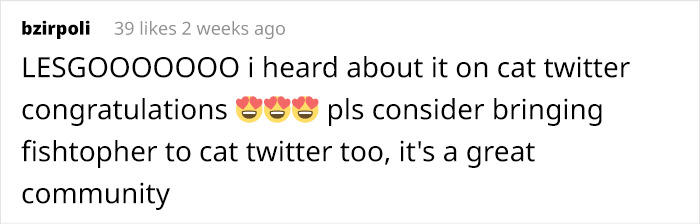 After Going Viral On Twitter, Fishtopher Has Recently Been Adopted And Is Off To Live A Happy Life