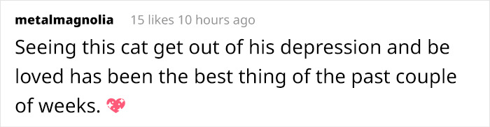 After Going Viral On Twitter, Fishtopher Has Recently Been Adopted And Is Off To Live A Happy Life