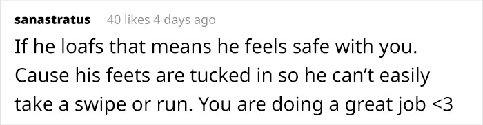 After Going Viral On Twitter, Fishtopher Has Recently Been Adopted And Is Off To Live A Happy Life