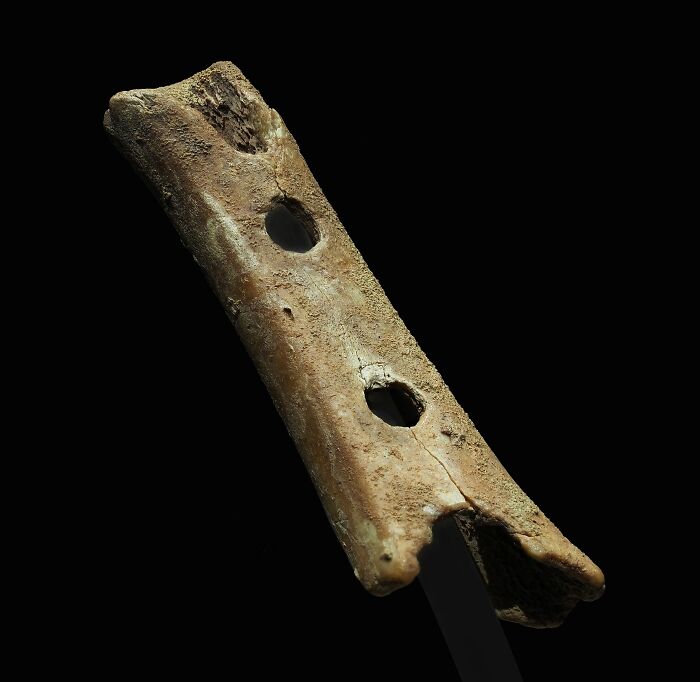 The Divje Babe Flute (50,000 BC)