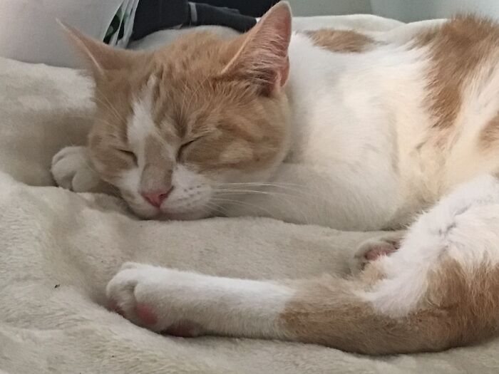 The Only Time He'll Stay Still For A Picture