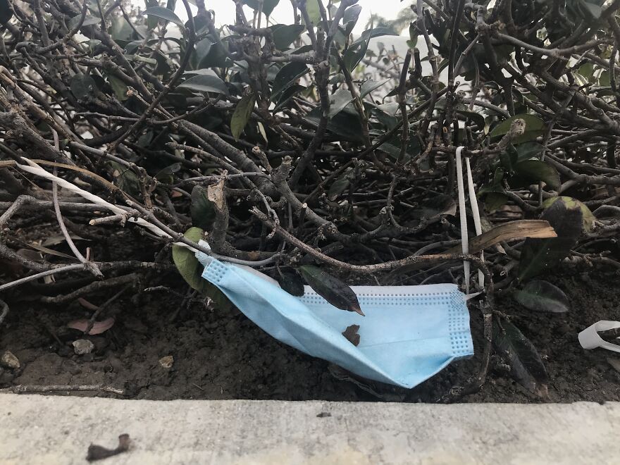 Earth's Newest Layer Of Trash: Face Masks Earth's Newest Layer Of Trash: Face Masks