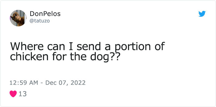 Dog Named Palomo Has Helped Mexican Authorities To Find His Missing Owner