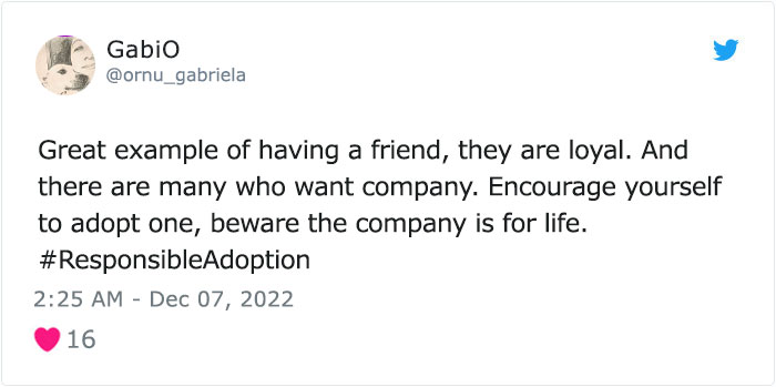 Dog Named Palomo Has Helped Mexican Authorities To Find His Missing Owner