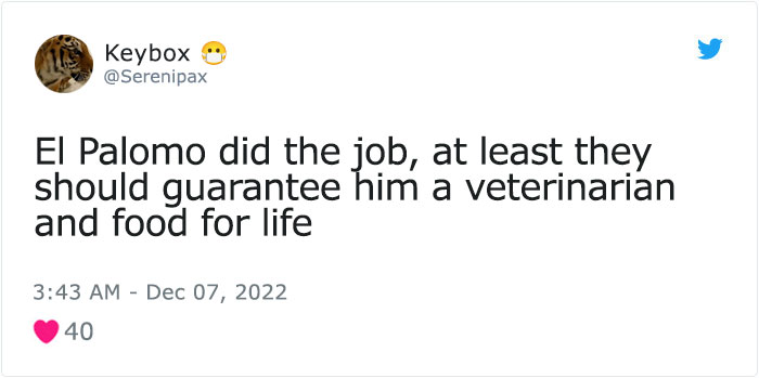 Dog Named Palomo Has Helped Mexican Authorities To Find His Missing Owner