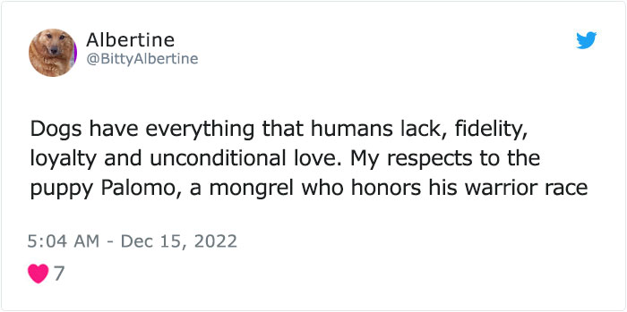 Dog Named Palomo Has Helped Mexican Authorities To Find His Missing Owner