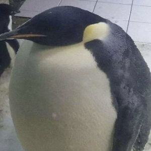 brian-laforte avatar